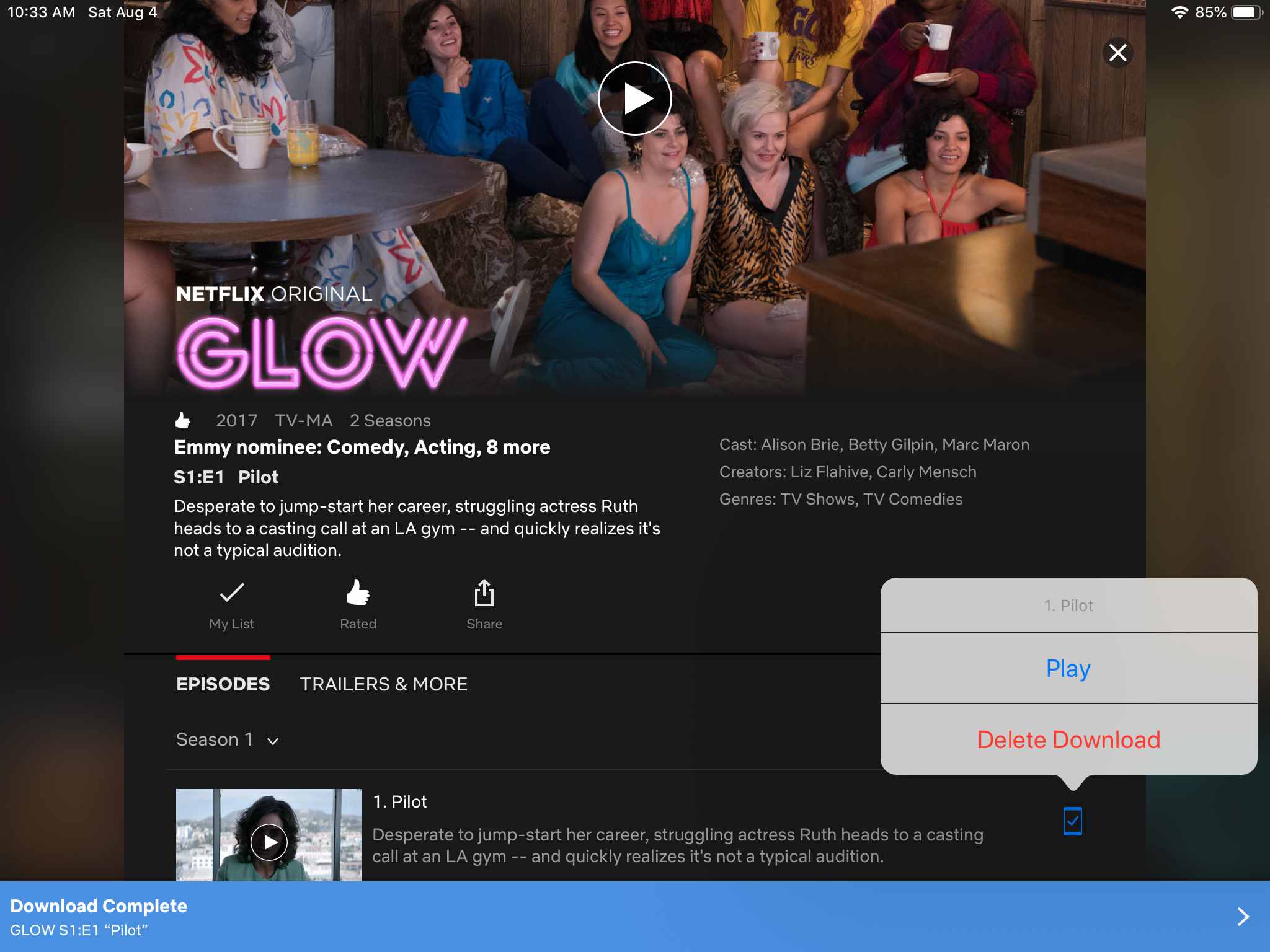 Download netflix movie for later viewing